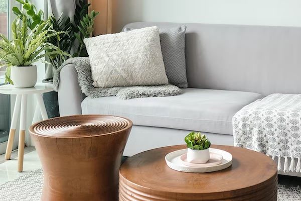 Hotel Room with plants